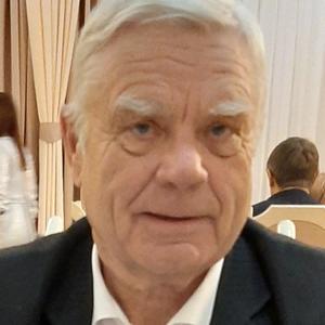 Михаил Леонтьев, 77 лет, Елабуга