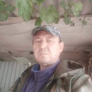 Андрей, 48 лет, Нефтекумск