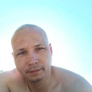 Андрей Ваничев, 38 лет, Северодвинск