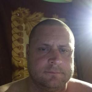 Владимир, 45 лет, Саратов