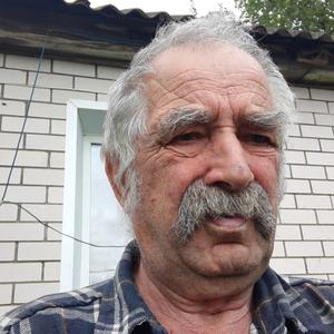 Валерий Шамков, 75 лет, Смоленск