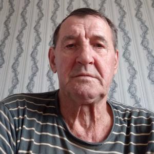 Олег, 71 год, Новосибирск