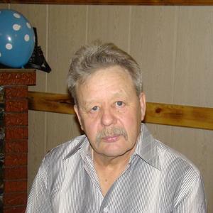 Александр Номоконов, 63 года, Чита