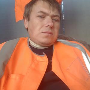 Sergey, 37 лет, Курск