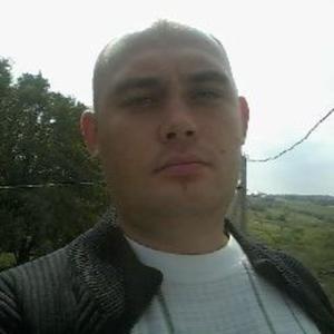 Владимир, 34 года, Тула