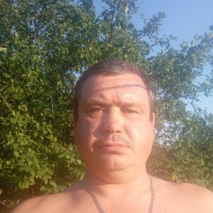 Юрий, 44 года, Рыбинск