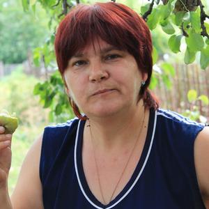 Светлана Зарапина, 56 лет, Тамбов