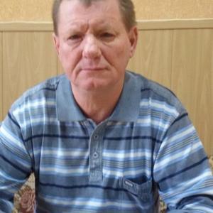 Евгений Плохов, 63 года, Иваново