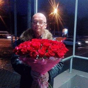 Сергей Тоже, 62 года, Брянск