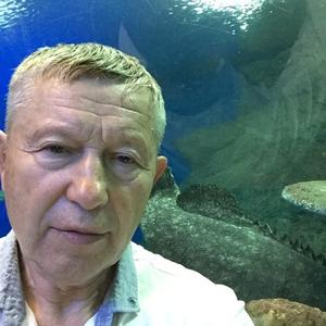 Николай, 75 лет, Владивосток