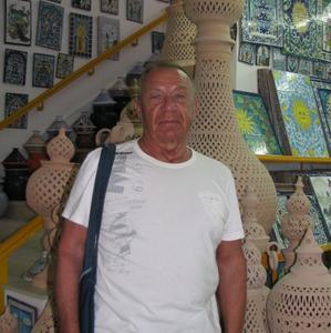 Евгений, 78 лет, Протвино