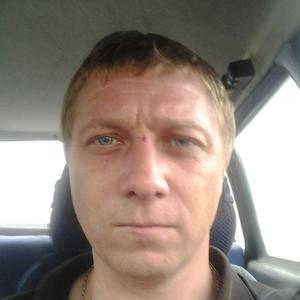 Николай Локтев, 45 лет, Ярославль