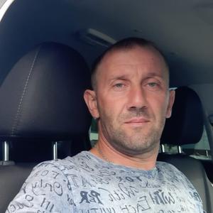 Михаил Азаров, 43 года, Воронеж