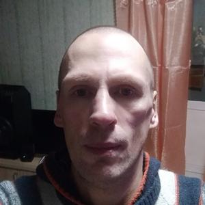 Андрей, 44 года, Краснокамск