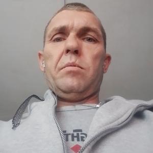 Василий, 43 года, Дмитров