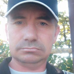 Денис, 44 года, Ставрополь