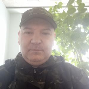 Мурад, 44 года, Тольятти