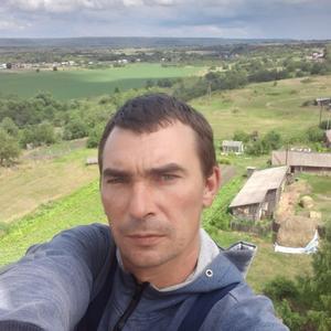 Андрей, 37 лет, Владимир