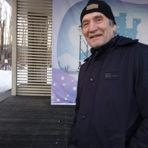Анатолий, 69 лет, Глазов
