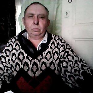 Василий Козлов, 70 лет, Михайловский