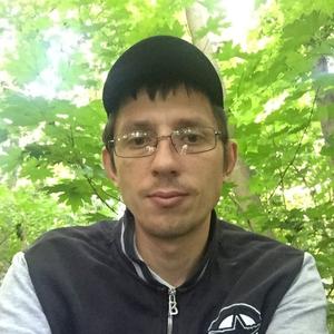 Игорь Мухамедиев, 44 года, Плавск