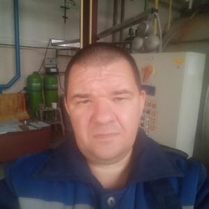 Юрий, 44 года, Йошкар-Ола