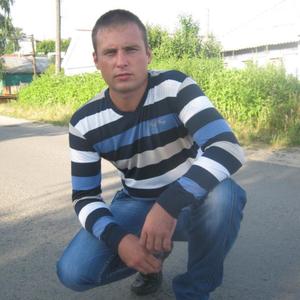 Сергей Горяйнов, 36 лет, Курск