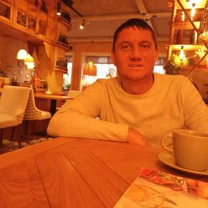 Александр, 42 года, Южноуральск