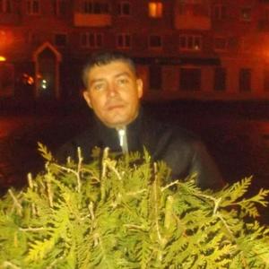 Парни в Черняховске: Виталий Пономарев, 45 - ищет девушку из Черняховска