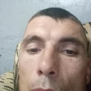 Павел, 36 лет, Камышин