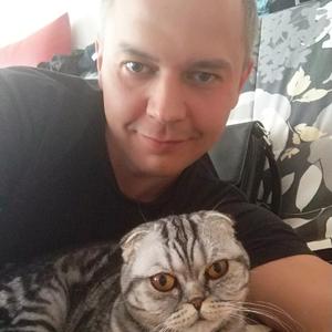 Парни в Мончегорске: Дмитрий Евгеньевич, 44 - ищет девушку из Мончегорска