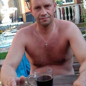 Сергей, 47 лет, Ковдор