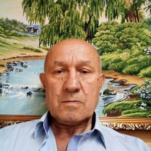 Евгений, 73 года, Балабаново