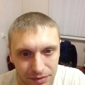 Виталий Бортко, 40 лет, Гай