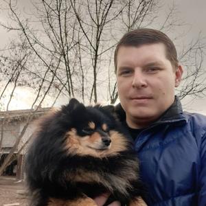 Виталий, 41 год, Псков