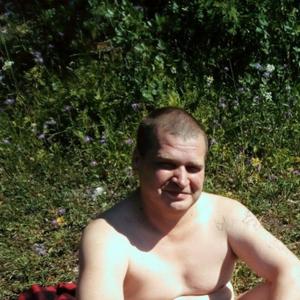 Александр, 45 лет, Обозерский