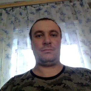 Владимир, 37 лет, Алтайское