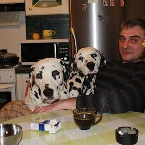 Евгений, 61 год, Москва