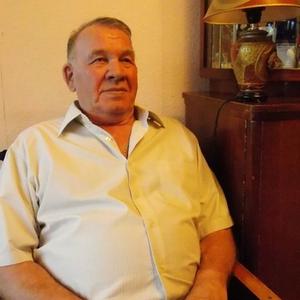 Леонид, 81 год, Брянск