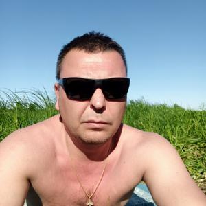 Александр, 46 лет, Владимир