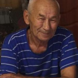 Раис, 81 год, Ситдик-Муллино