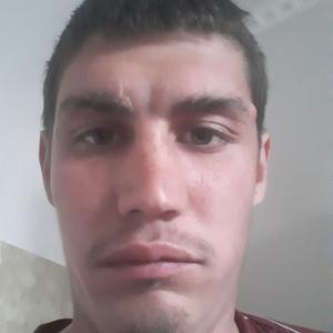 Михаил, 29 лет, Димитровград