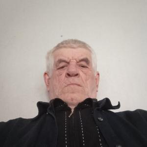 Виктор, 66 лет, Курск
