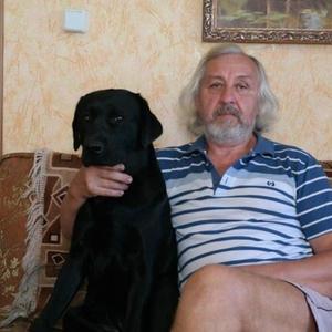 Александр, 70 лет, Липецк