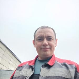 Михаил, 42 года, Мурманск