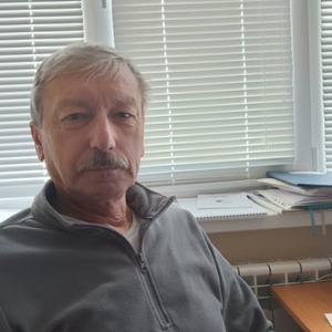 Валерий Семенков, 60 лет, Воронеж