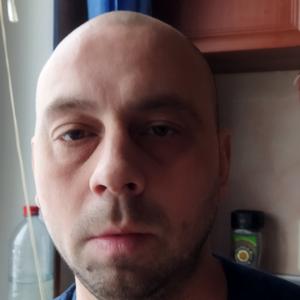 Антон, 39 лет, Череповец