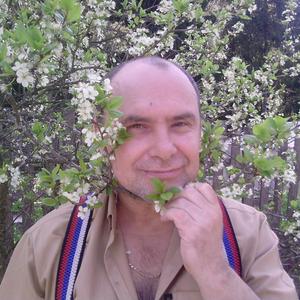 Владимир, 53 года, Пересвет