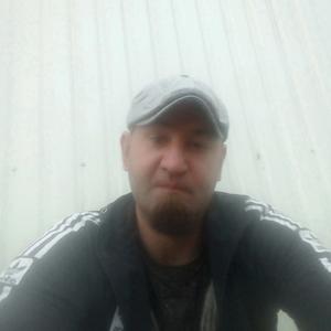 Макс, 38 лет, Ярославль