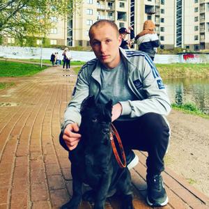 Дима, 29 лет, Щелково